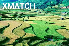 XMATCH function